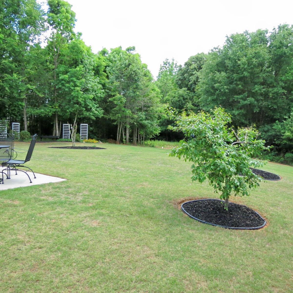 446 Madison Ave, Hampton, GA 30228 photo 24