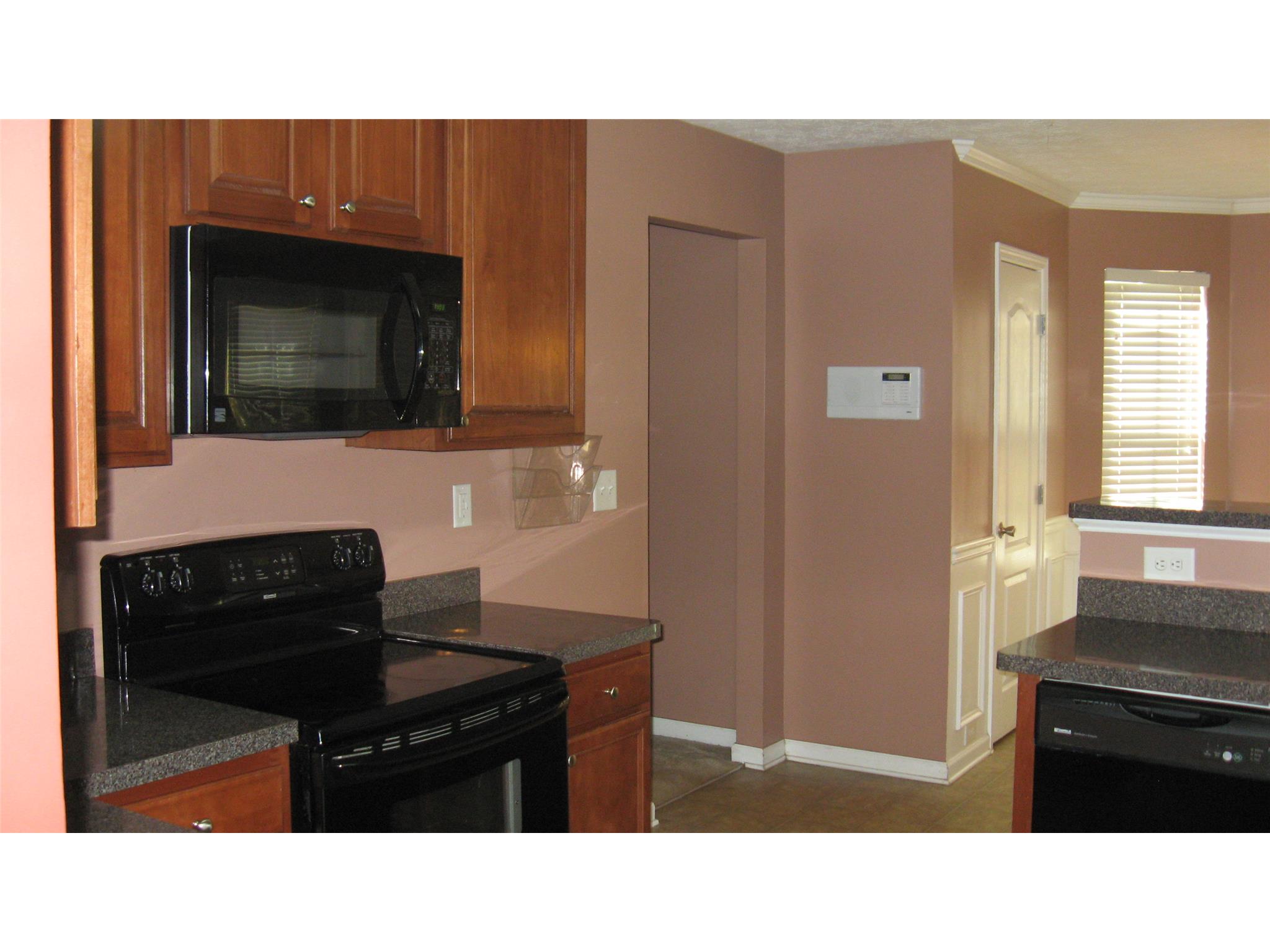 2951 Blackbird Way, Hampton, GA 30228 photo 3