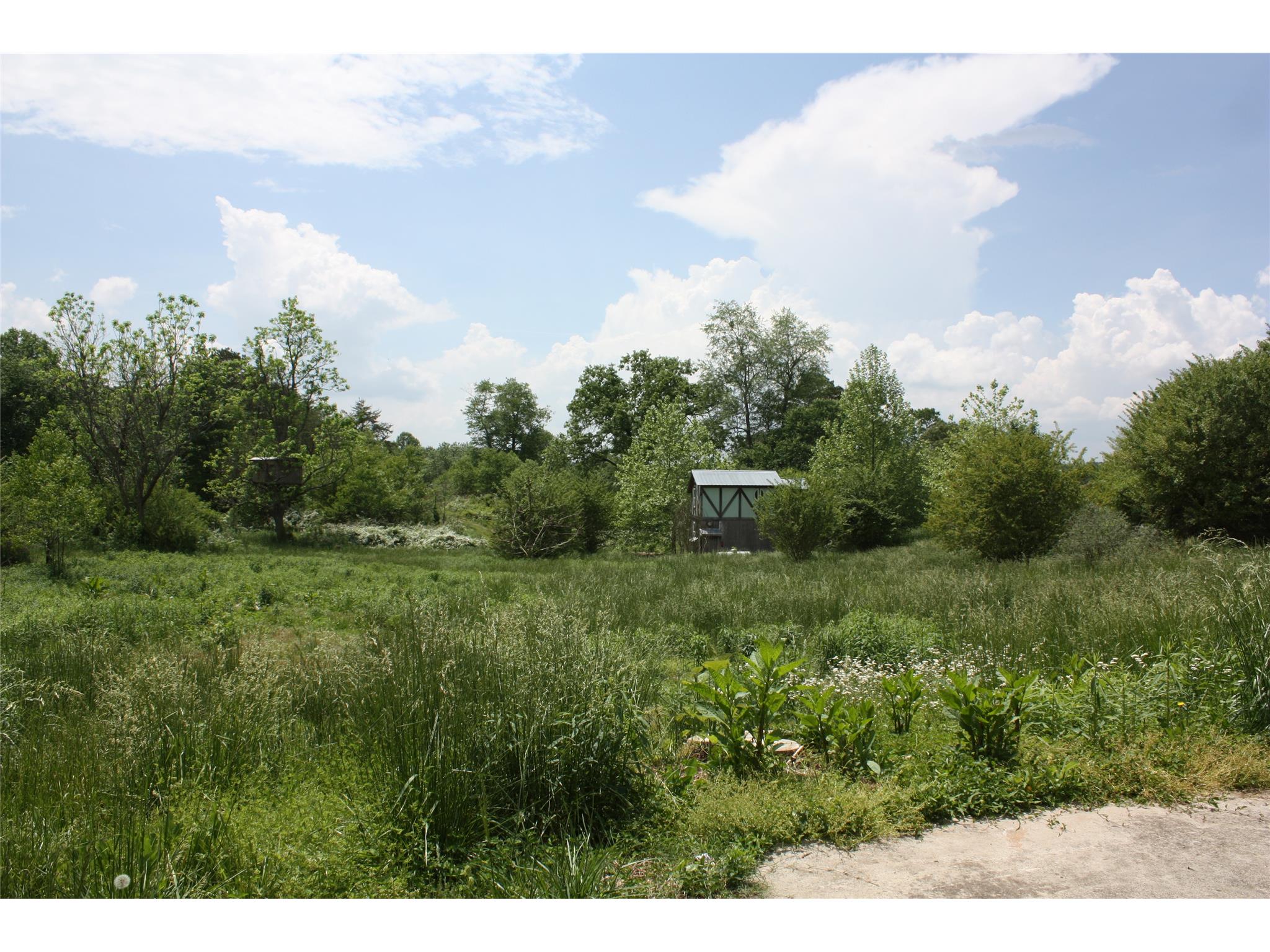 6215 Lula Rd, Lula, GA 30554 photo 24