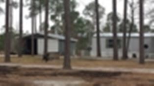 258 Spearman Rd, Adrian, GA 31002 photo 2