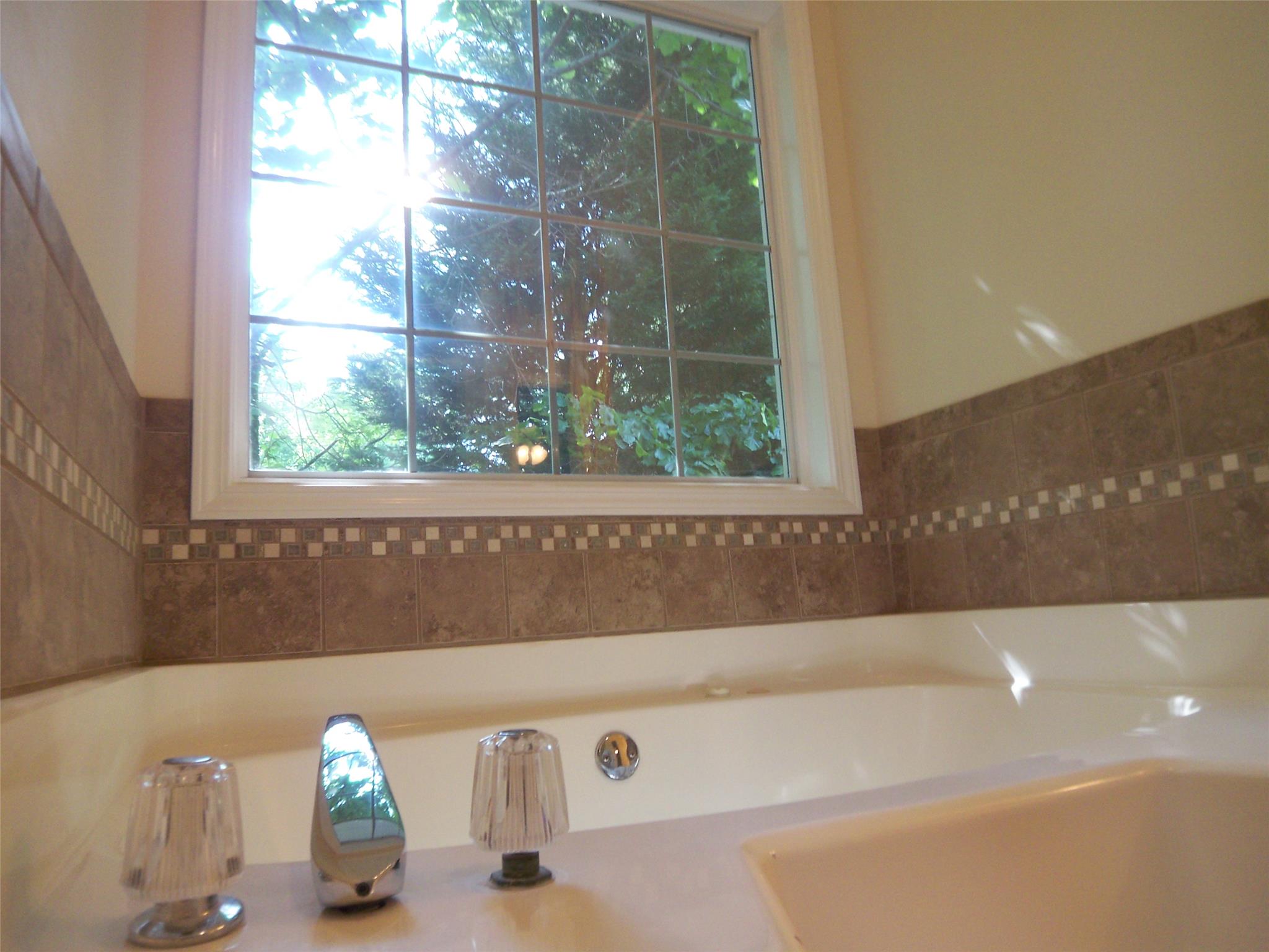 121 Shoreline Way, Hampton, GA 30228 photo 20