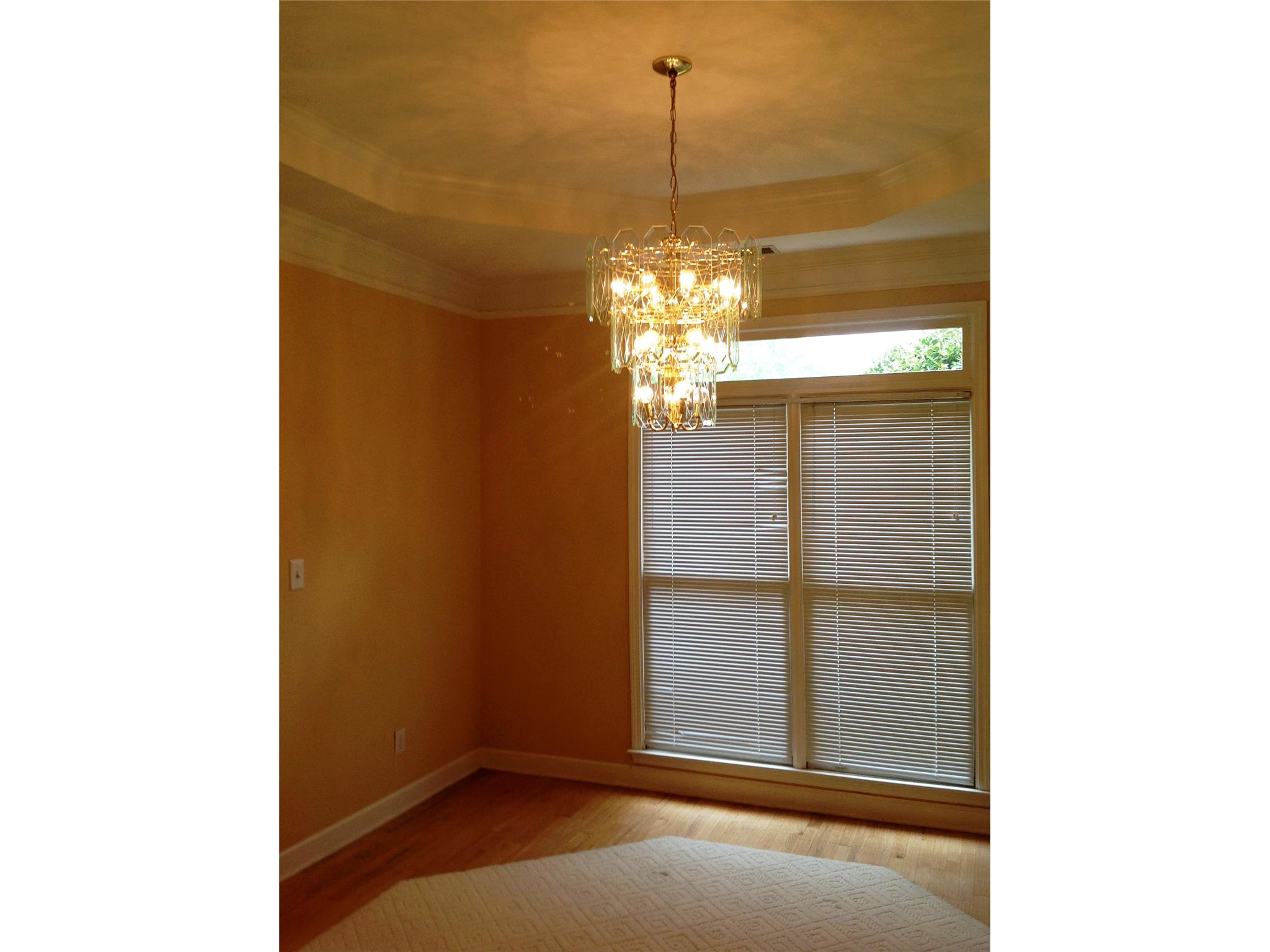 140 Yeats Ct, Tyrone, GA 30290 photo 3