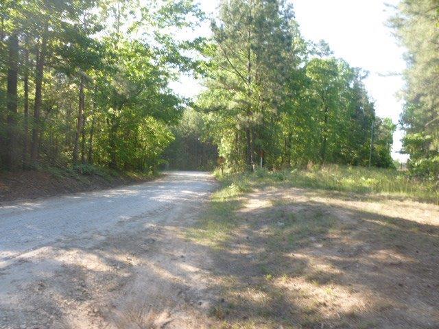 138 Chafin Echols Rd, Rayle, GA 30660 photo 14
