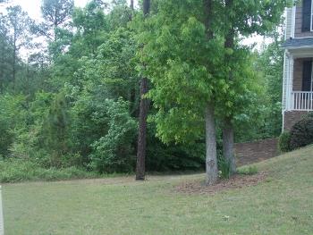 40 Windy Ct, Covington, GA 30016 photo 23