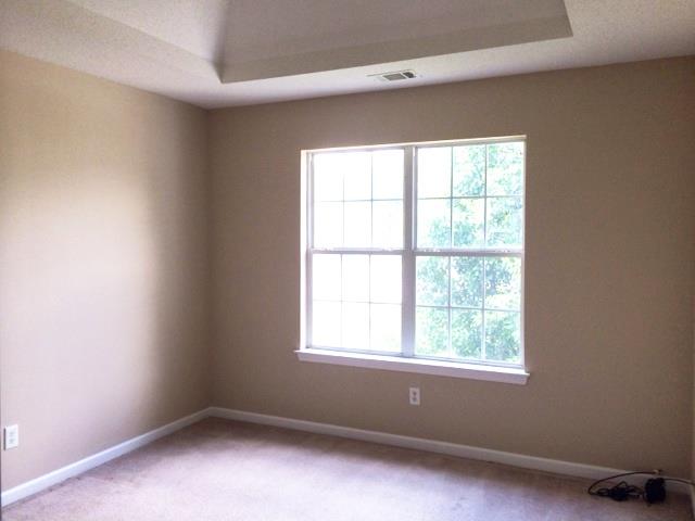 10790 Misty Meadows Trce, Hampton, GA 30228 photo 10