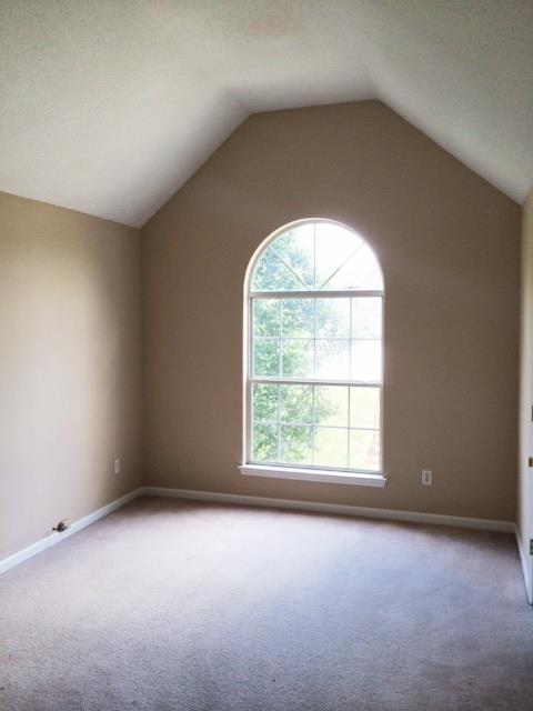 10790 Misty Meadows Trce, Hampton, GA 30228 photo 9