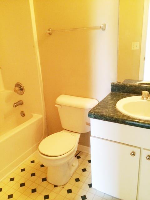 10790 Misty Meadows Trce, Hampton, GA 30228 photo 11
