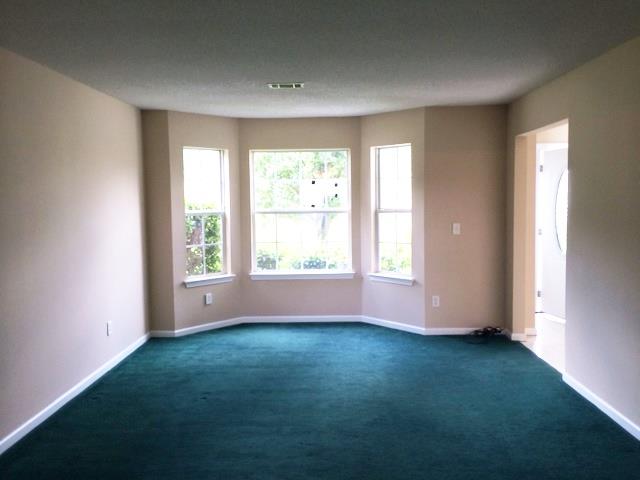 10790 Misty Meadows Trce, Hampton, GA 30228 photo 5