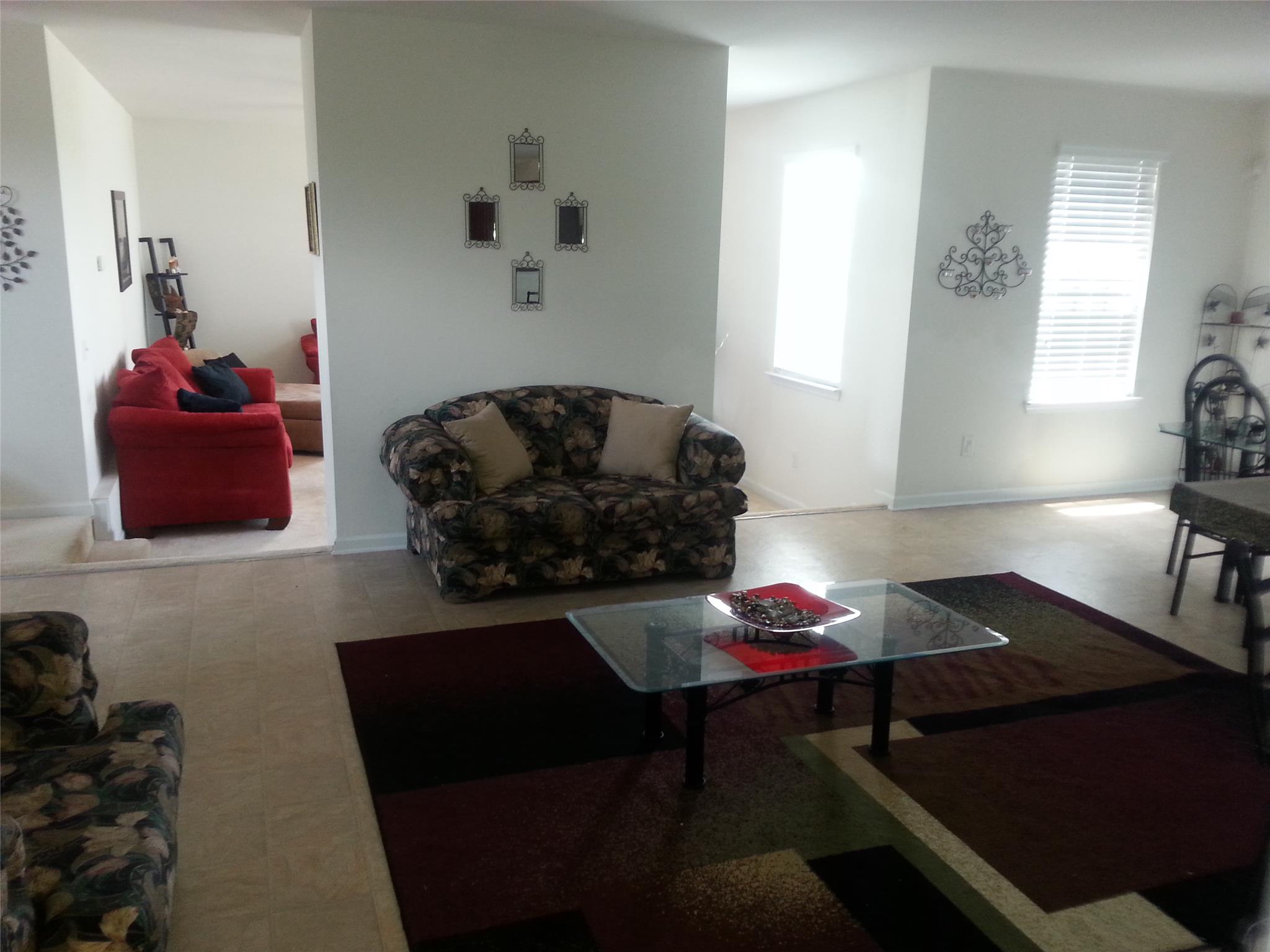 11123 Shadow Creek Ter, Hampton, GA 30228 photo 7