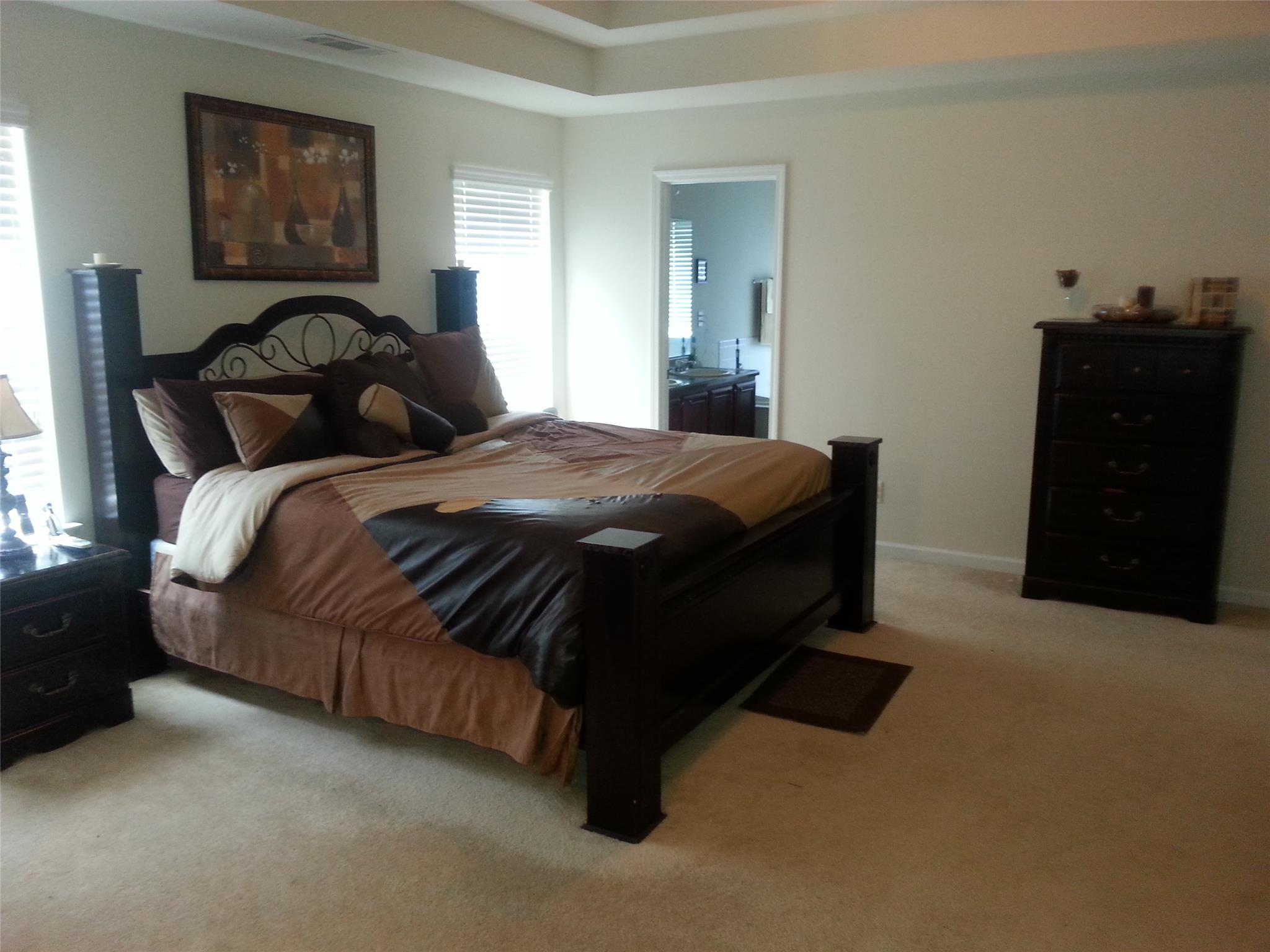11123 Shadow Creek Ter, Hampton, GA 30228 photo 13