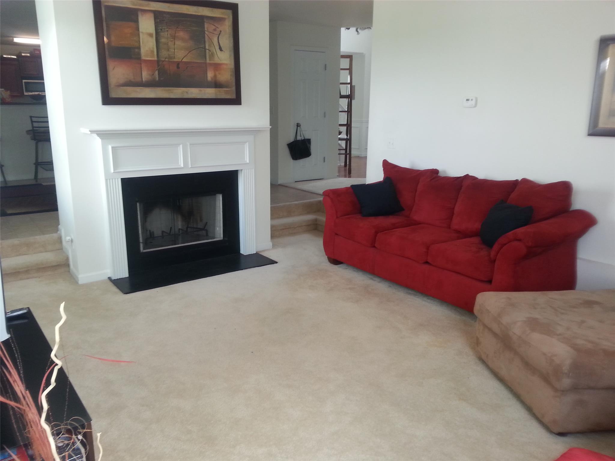 11123 Shadow Creek Ter, Hampton, GA 30228 photo 6