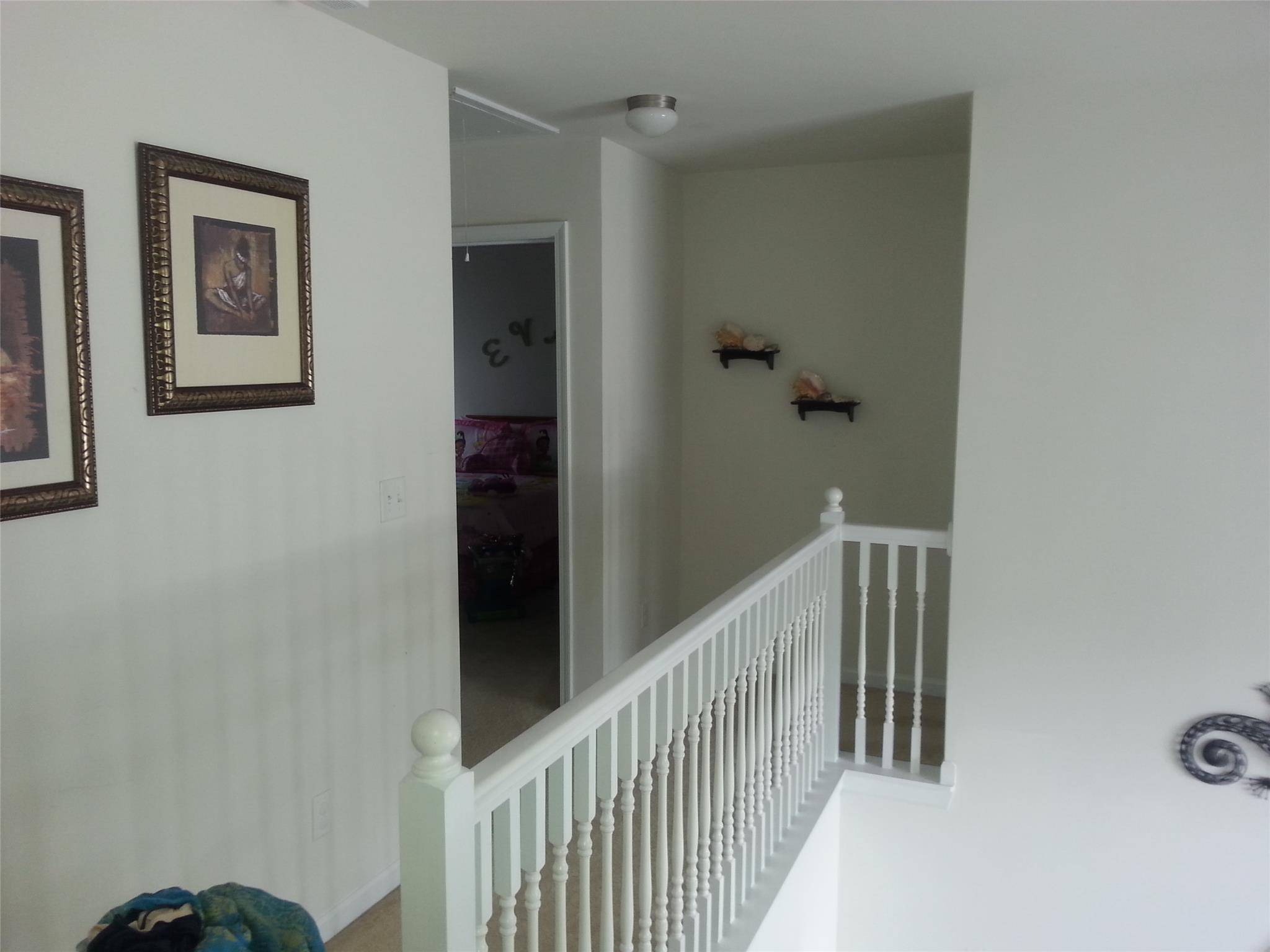 11123 Shadow Creek Ter, Hampton, GA 30228 photo 11
