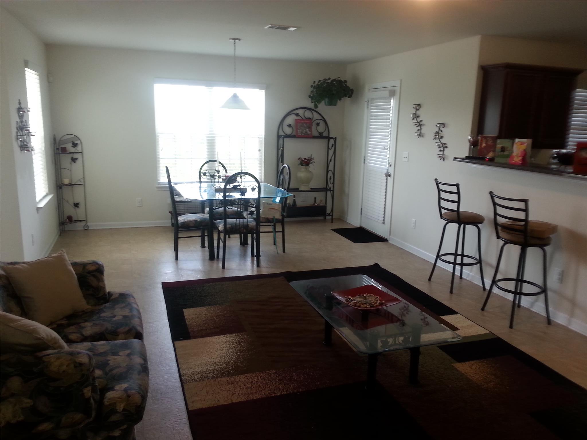 11123 Shadow Creek Ter, Hampton, GA 30228 photo 8