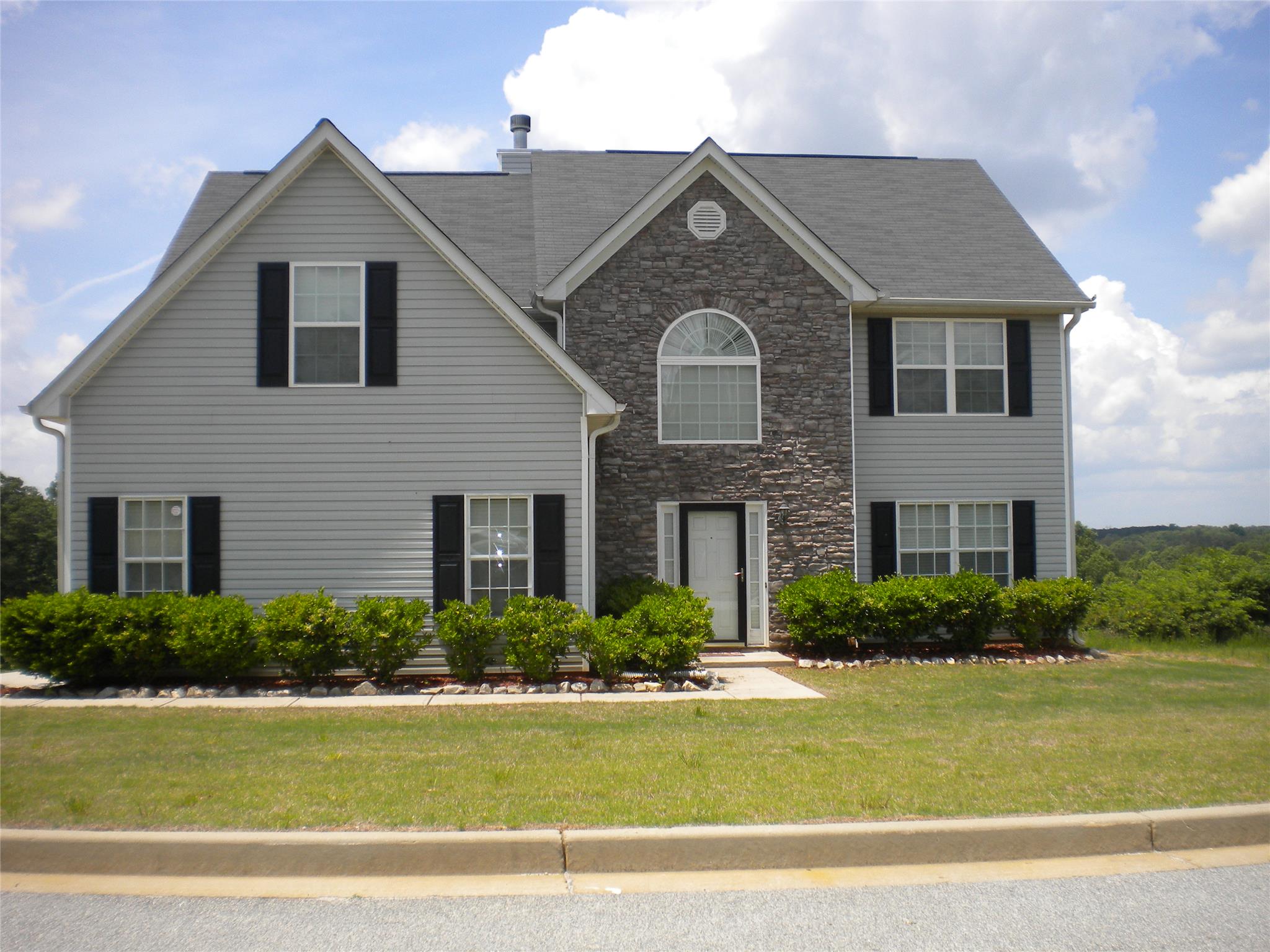11123 Shadow Creek Ter, Hampton, GA 30228 photo 1