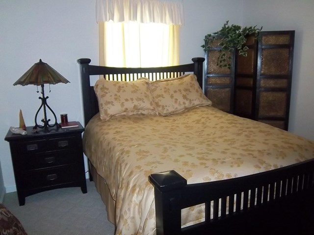 1198 Eagles Pass, Mcdonough, GA 30253 photo 10