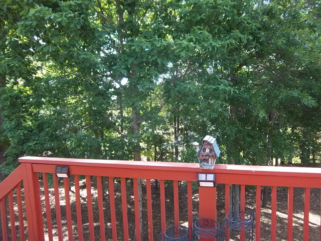 1198 Eagles Pass, Mcdonough, GA 30253 photo 3