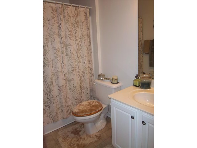 1198 Eagles Pass, Mcdonough, GA 30253 photo 12