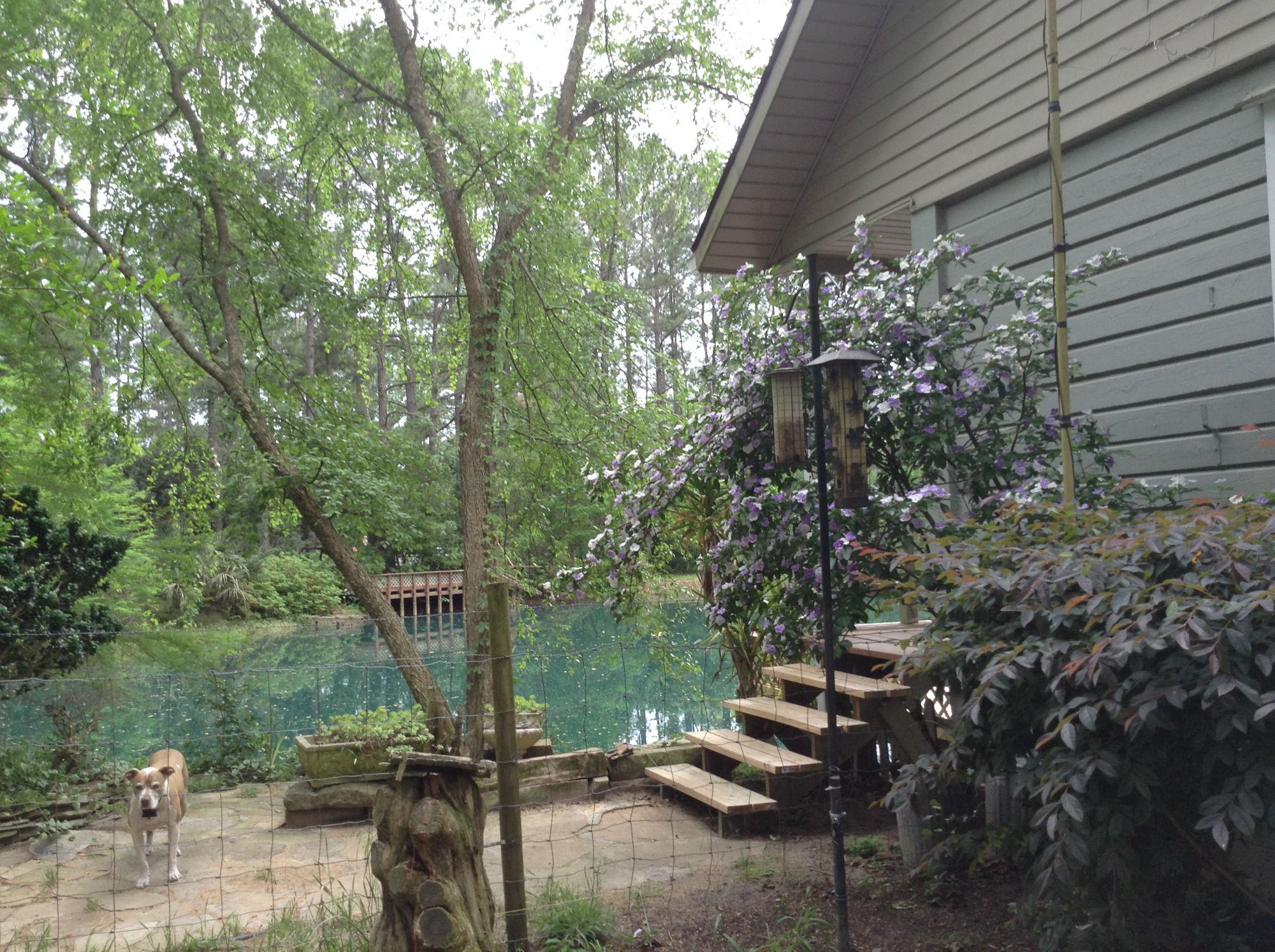 351 Beebe Rd, Springfield, GA 31329 photo 9