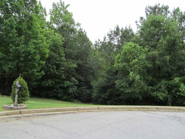 3075 Willow Park Dr, Dacula, GA 30019 photo 3