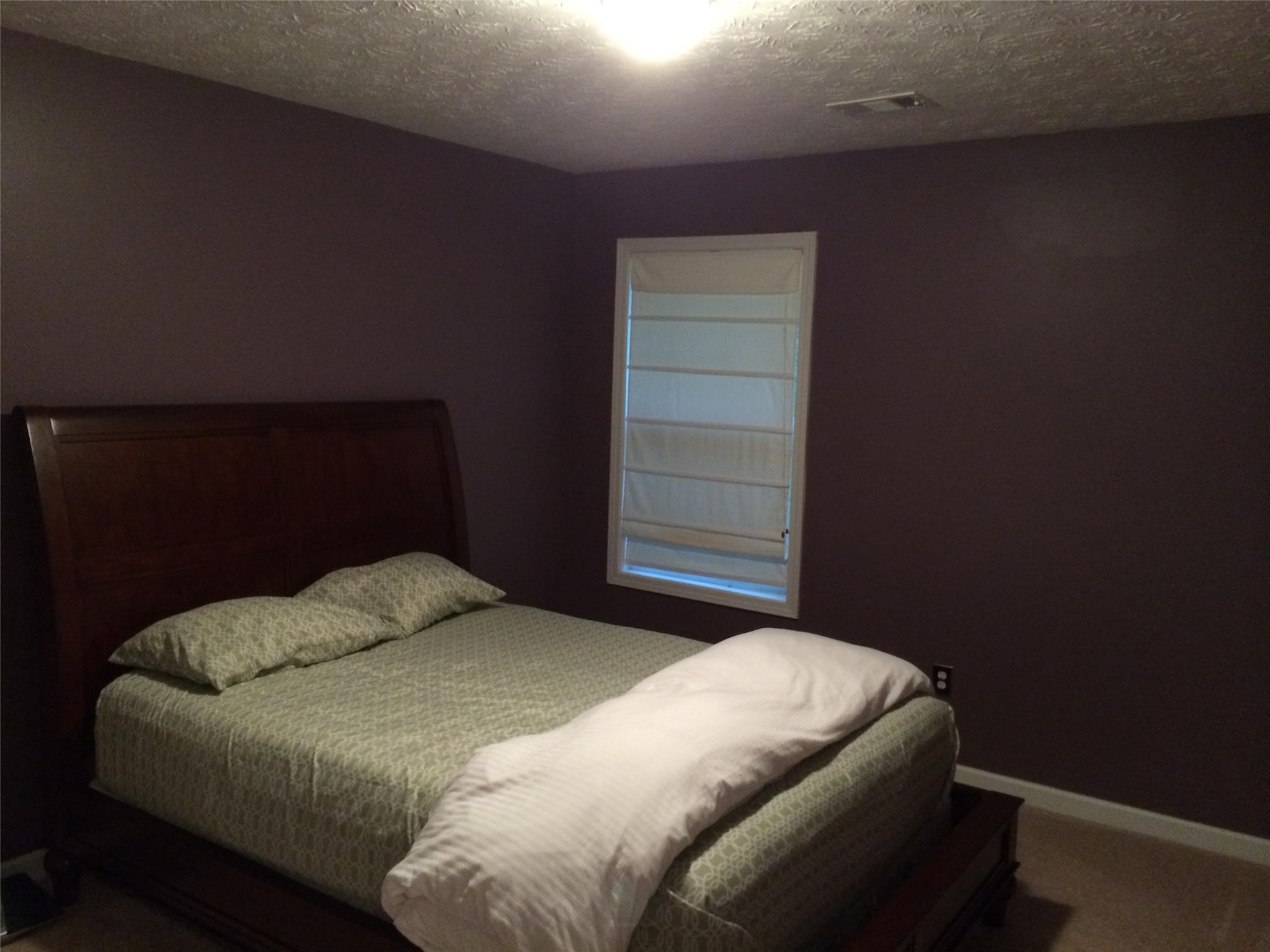100 Makenna Dr, Hampton, GA 30228 photo 9