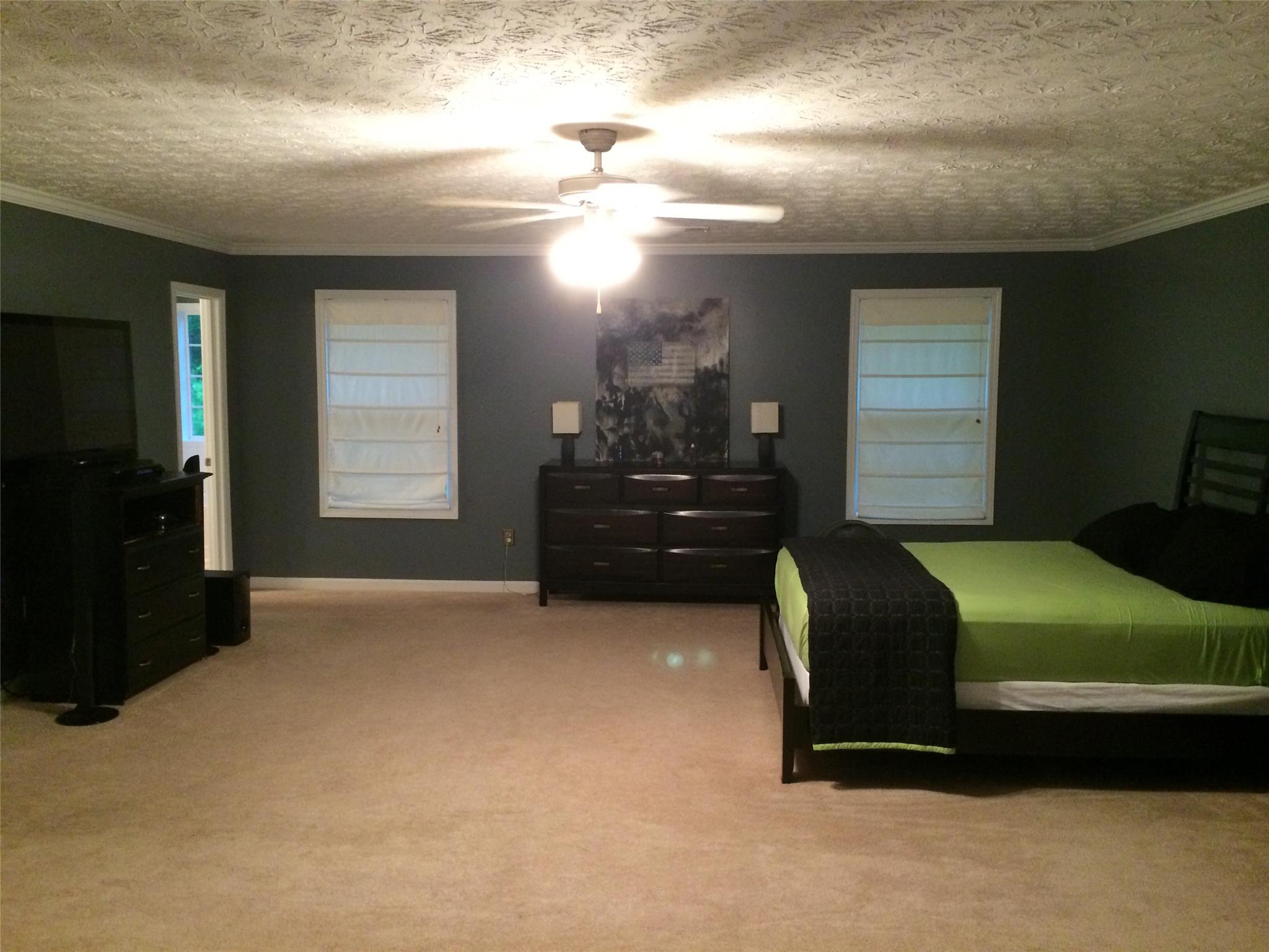 100 Makenna Dr, Hampton, GA 30228 photo 2