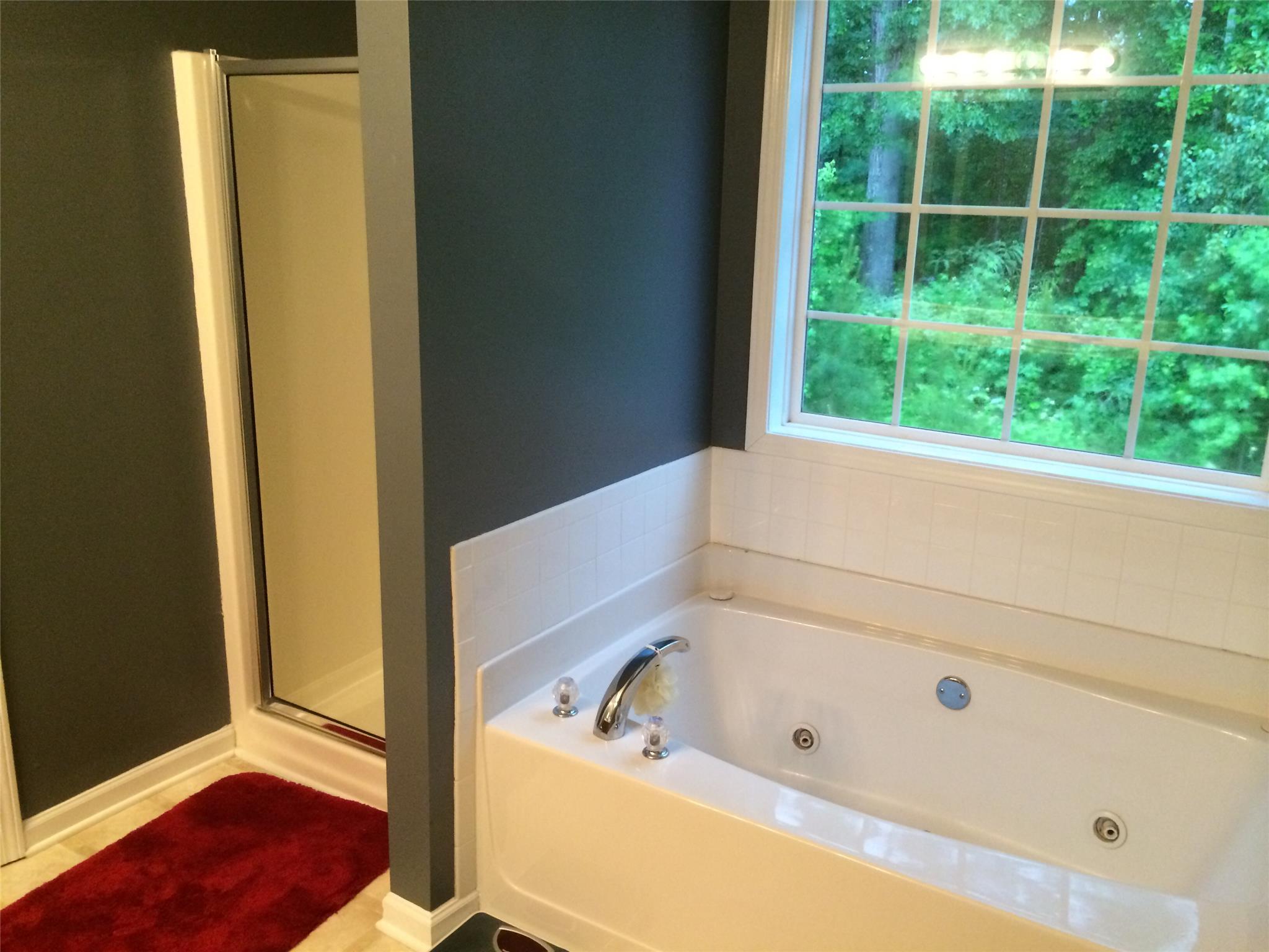 100 Makenna Dr, Hampton, GA 30228 photo 6