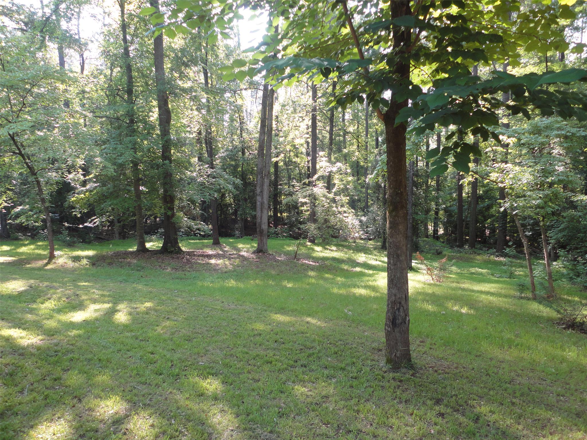981 Cameron Mill Rd, Lagrange, GA 30240 photo 4