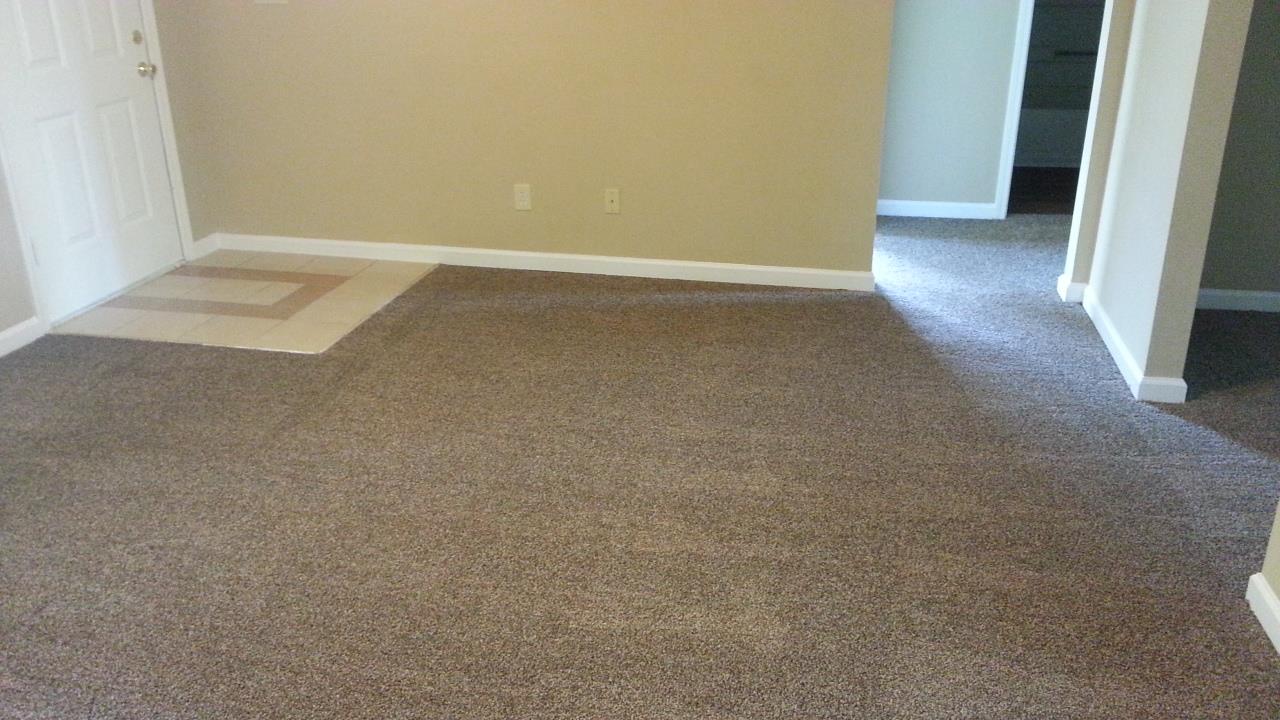 3229 Glen Hollow Dr, Rex, GA 30273 photo 7