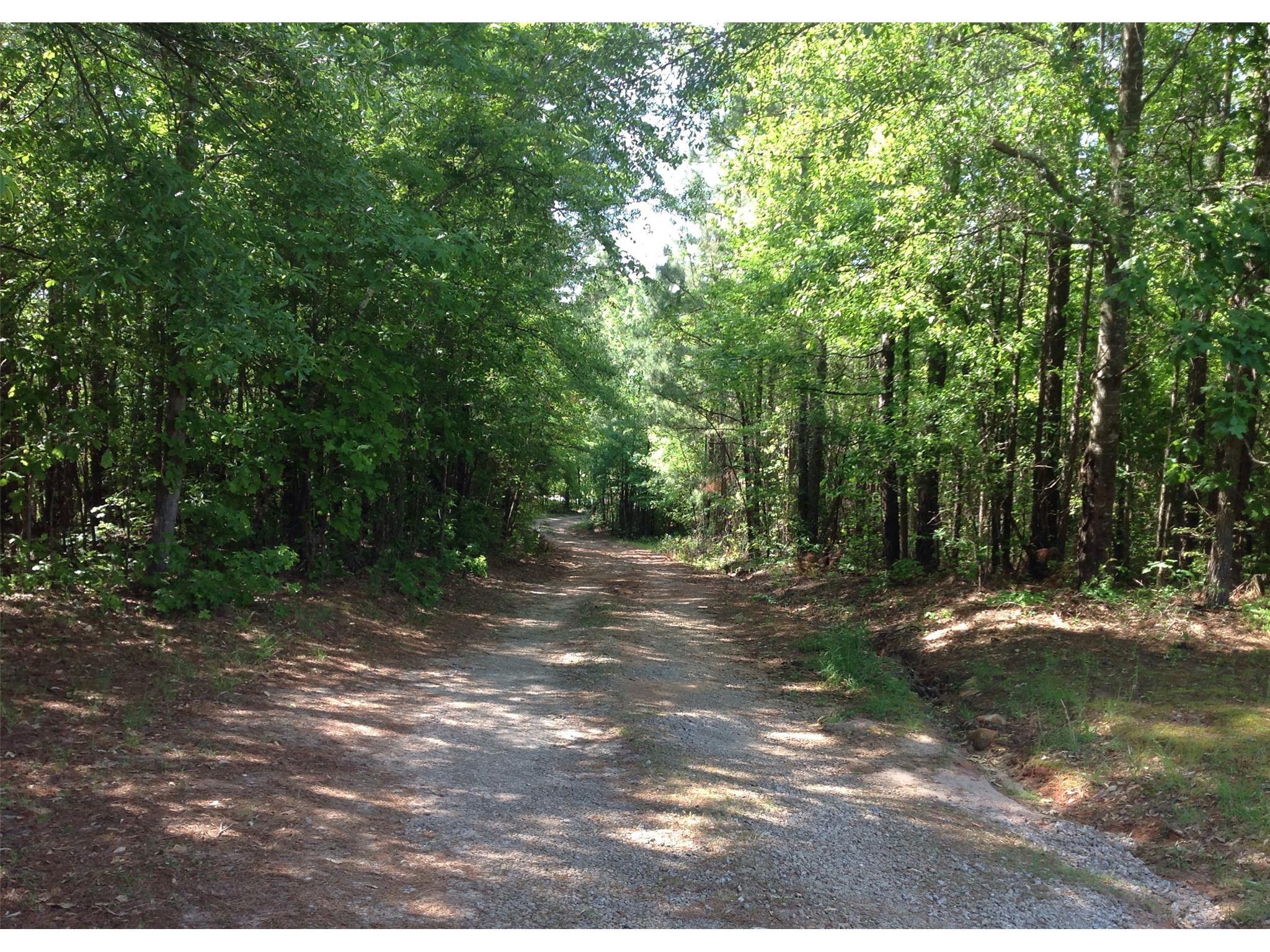 706 Poplar Dr, Brooks, GA 30205 photo 9