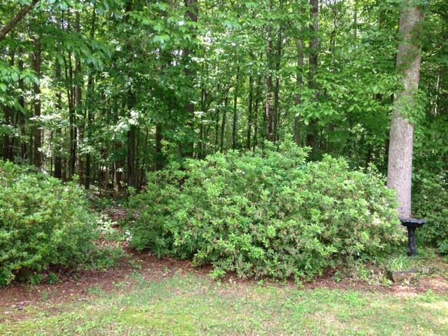 150 Montego Trl, Tyrone, GA 30290 photo 19