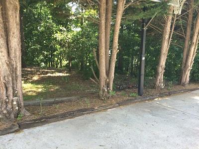 3965 Hamilton View Way, Dacula, GA 30019 photo 5