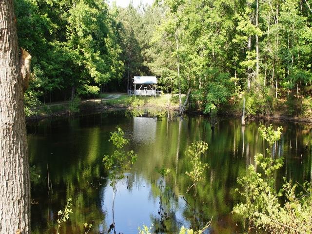 519 Grant Rd, Brooks, GA 30205 photo 5