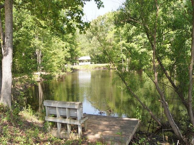 519 Grant Rd, Brooks, GA 30205 photo 6