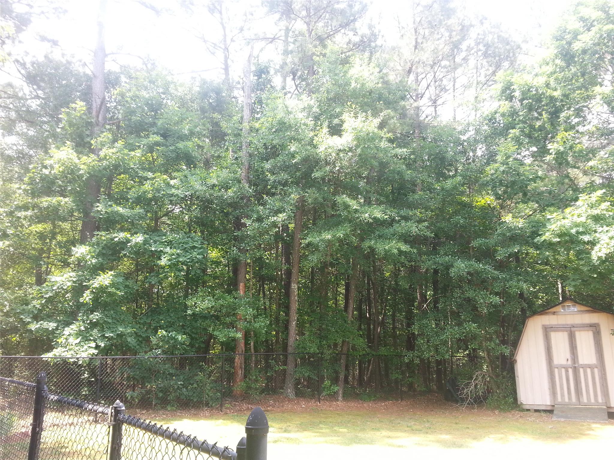 125 Vinnys Ter, Covington, GA 30014 photo 5