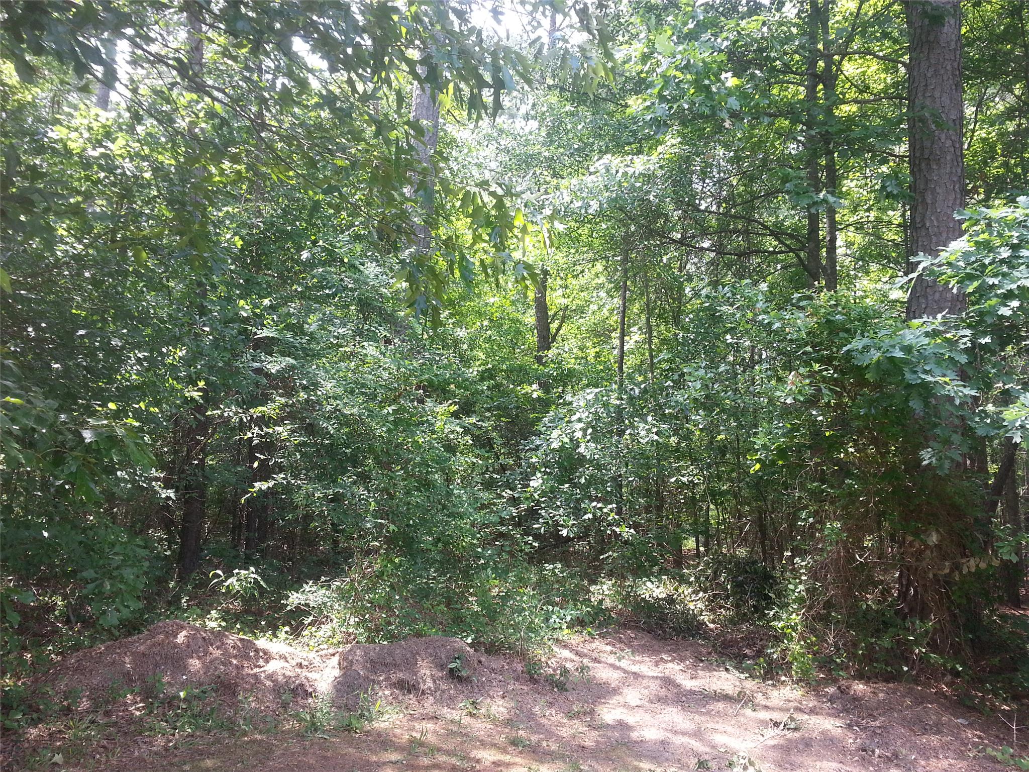 125 Vinnys Ter, Covington, GA 30014 photo 22