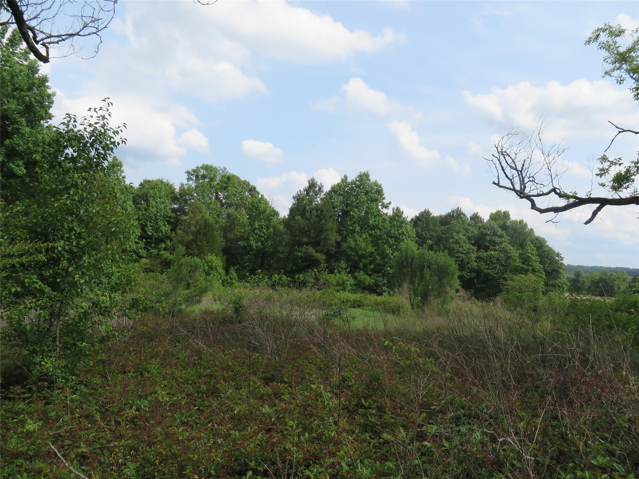 7140 Wimpy Rd, Macon, GA 31216 photo 2