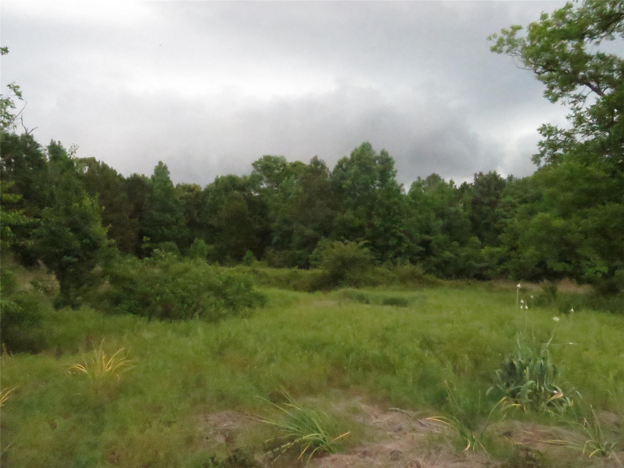 7140 Wimpy Rd, Macon, GA 31216 photo 5