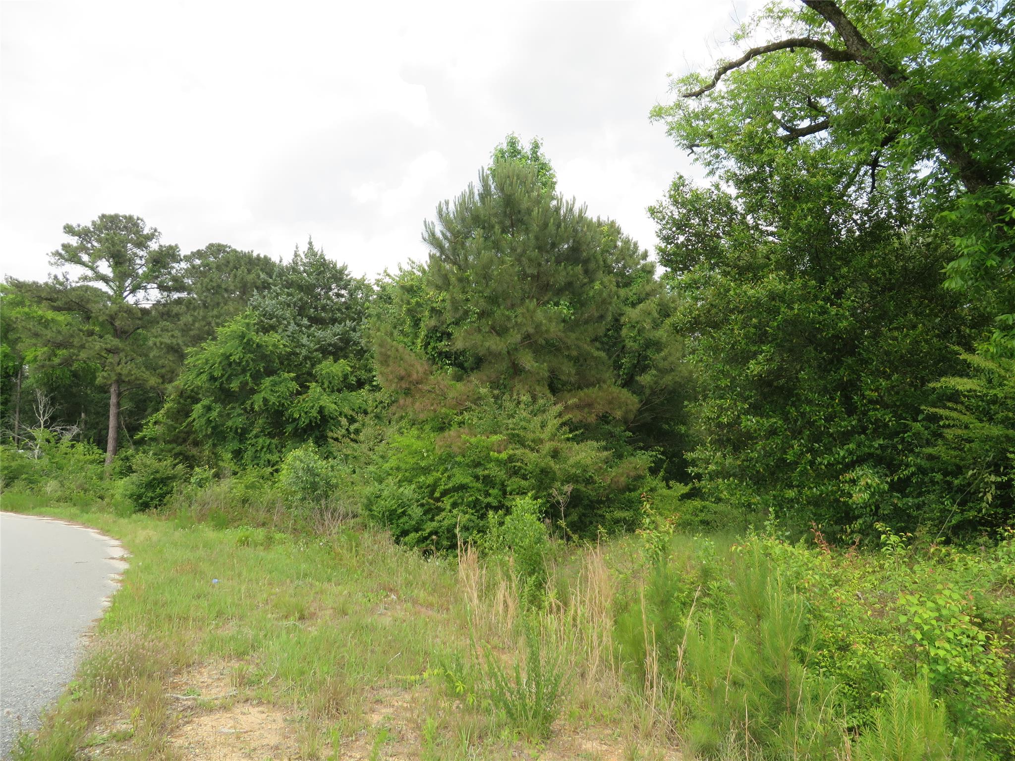 7140 Wimpy Rd, Macon, GA 31216 photo 3