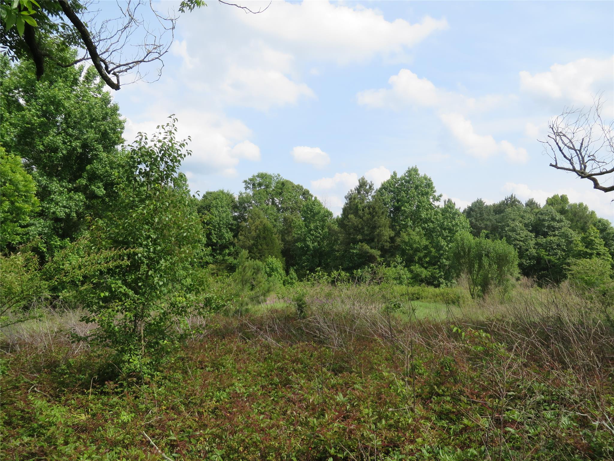 7140 Wimpy Rd, Macon, GA 31216 photo 1