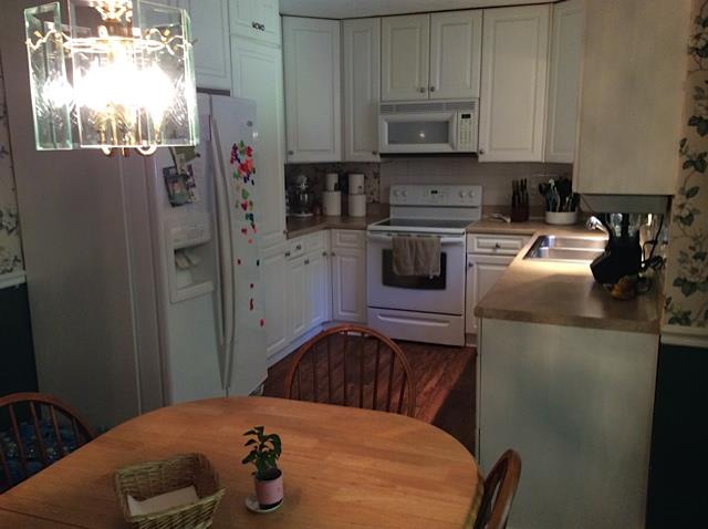 2888 Knotty Pine Ct, Buford, GA 30519 photo 9