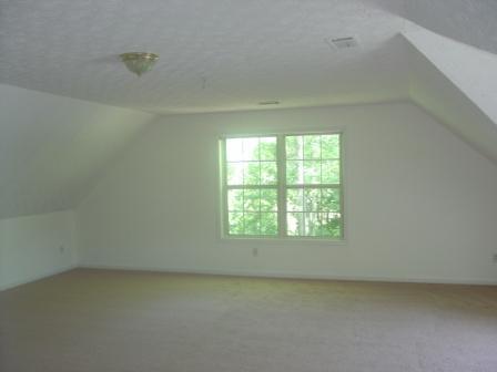 3597 Sunflower Dr, Buford, GA 30519 photo 17