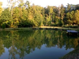 1289 Old Kincaid Rd, Colbert, GA 30628 photo 3