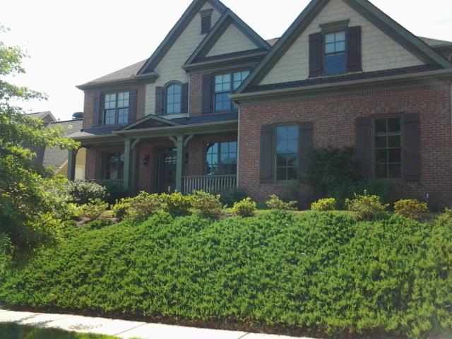1464 Wild Rye Ln, Grayson, GA 30017 photo 25