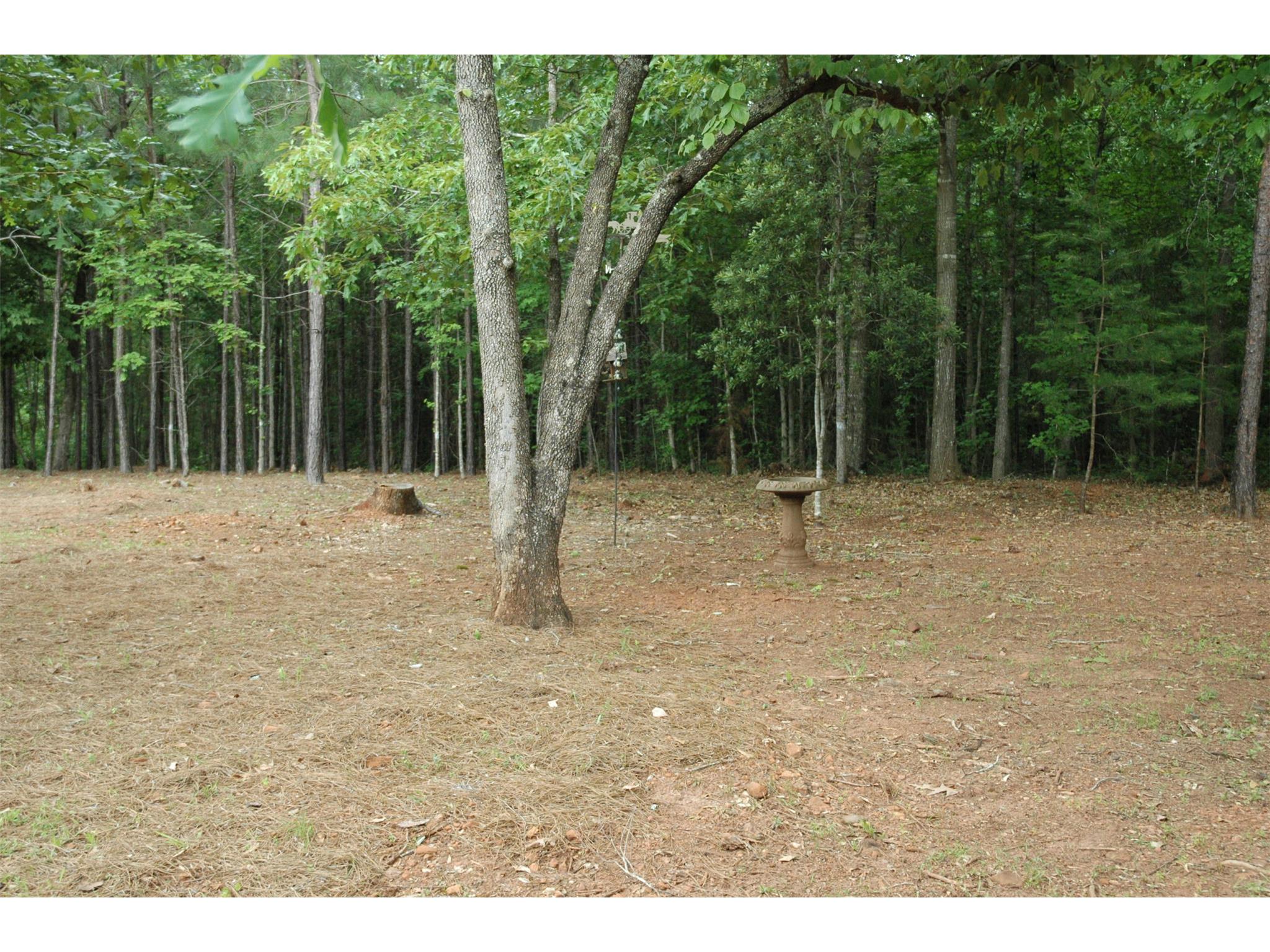 124 Planters Ridge Dr, Lagrange, GA 30240 photo 22