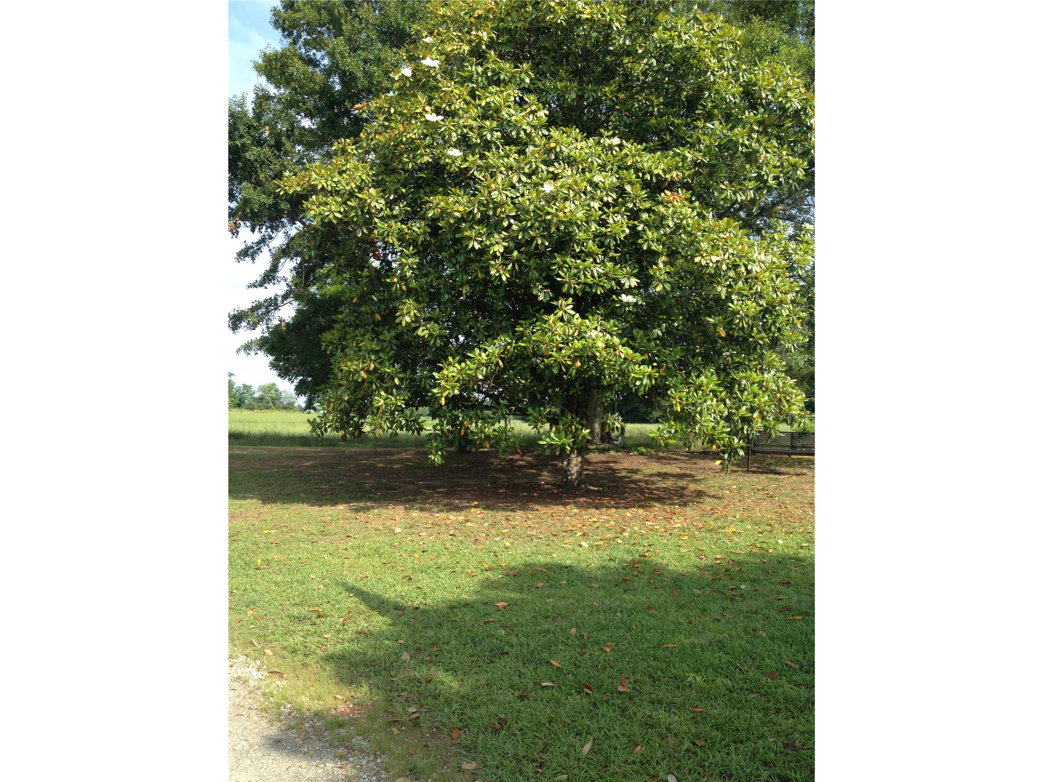 3341 Doster Rd, Rutledge, GA 30663 photo 13