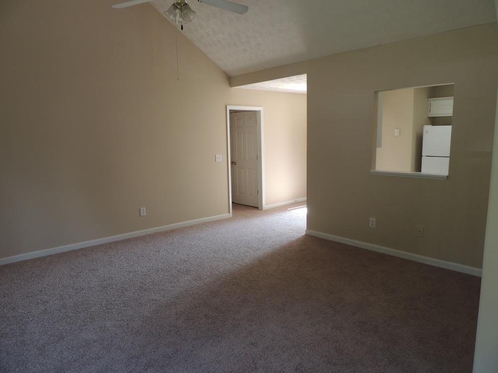 11361 Vinea Ln, Hampton, GA 30228 photo 9
