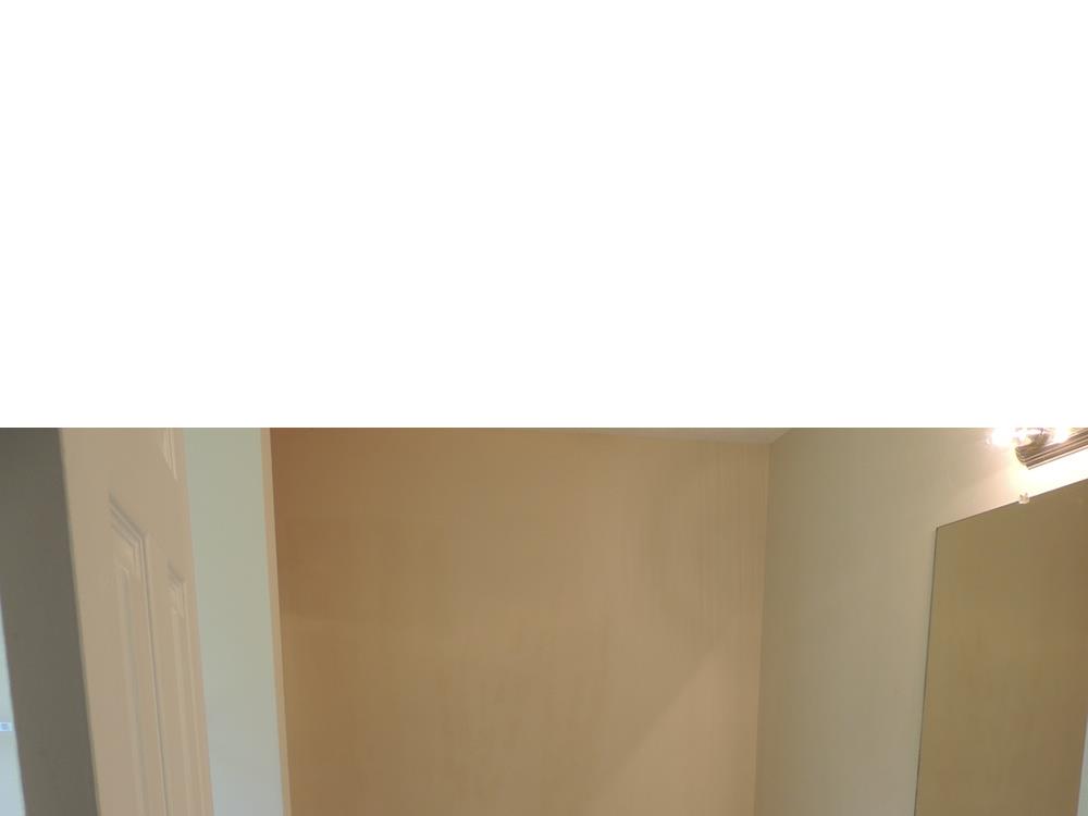 11361 Vinea Ln, Hampton, GA 30228 photo 12