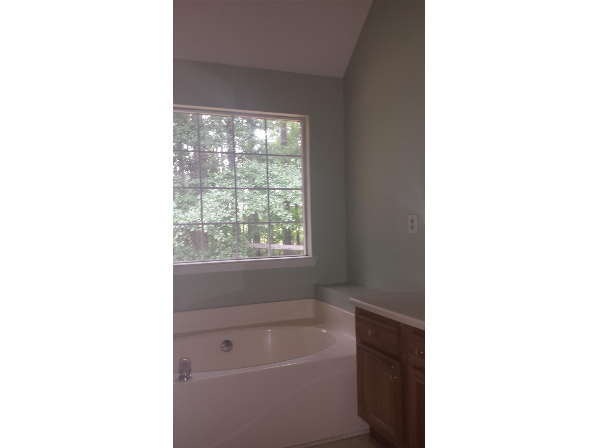 40 Apache Pointe Dr, Senoia, GA 30276 photo 19