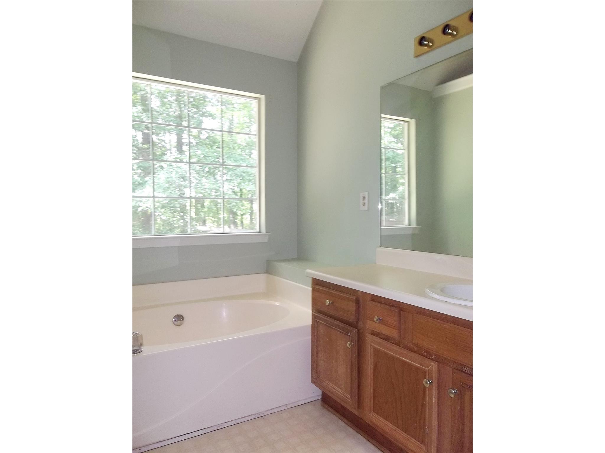 40 Apache Pointe Dr, Senoia, GA 30276 photo 10