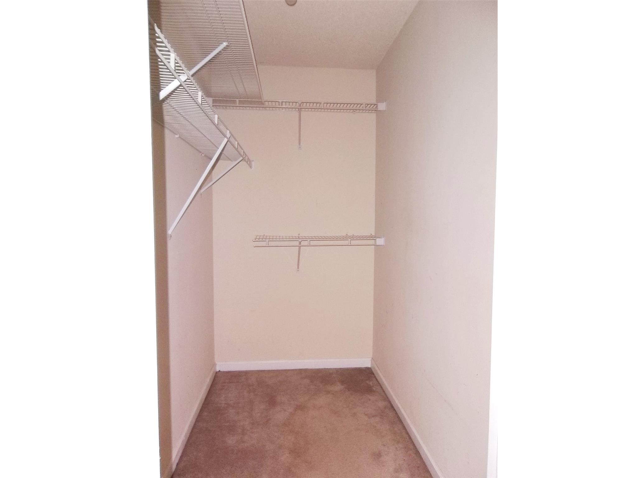 40 Apache Pointe Dr, Senoia, GA 30276 photo 9